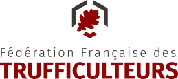 Logo_FFT