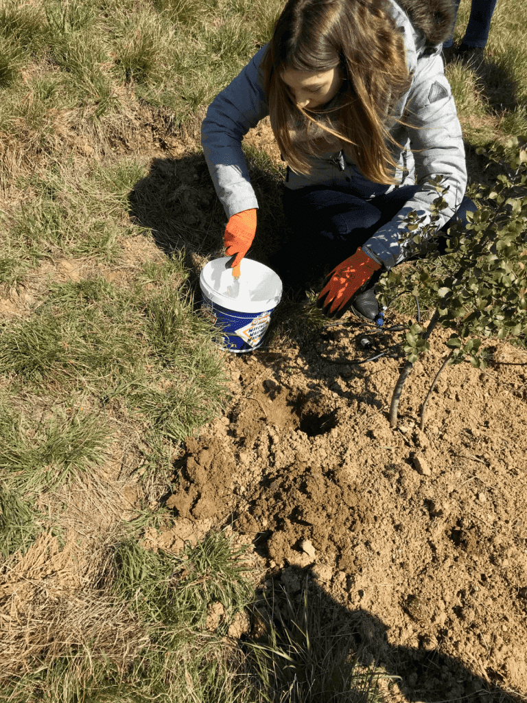 Expertise sol truffière : Analyse terrain pour une production optimale de truffes.