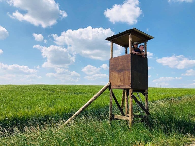 transmettre un patrimoine