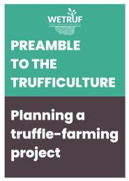 Apprenez sur la trufficulture et commencez votre projet trufficol
